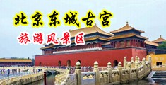 被大几巴操的淫荡女人视频中国北京-东城古宫旅游风景区